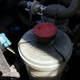 Illustration for article titled Any other Oppos clean their cars this weekend?